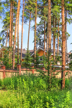 cottages behind fence in the pine woodの写真素材