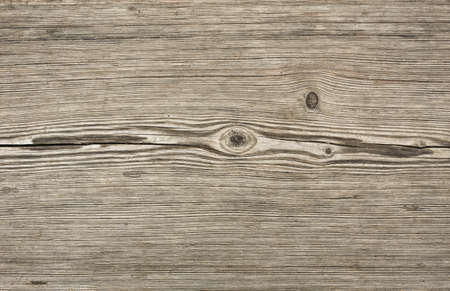 gray pine textural board close upの写真素材
