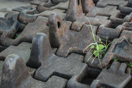 green grass growing on tank track