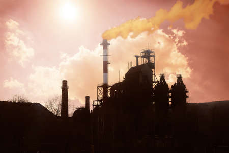 contour of old plant against crimson solar skyの写真素材