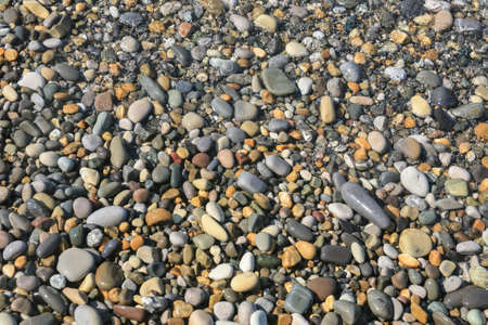 oval smooth pebble on the sea coastの写真素材