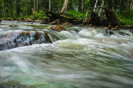 Landscape with  river stones and woodの写真素材