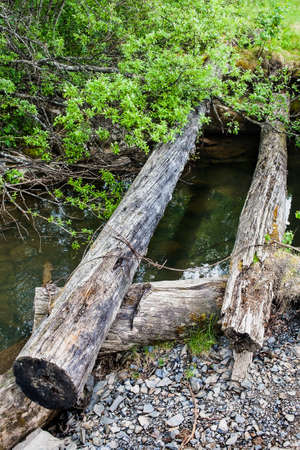 old broken timbered bridge through river in woodの写真素材