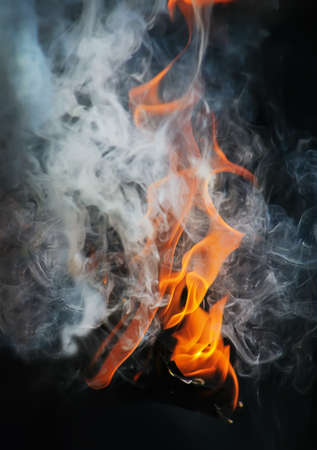 birch firewood brightly burning in fireの写真素材