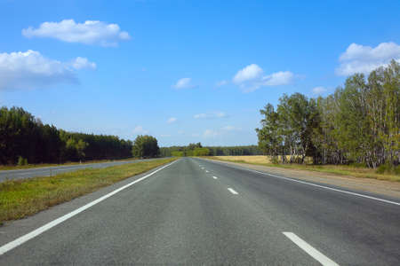 country asphalted highway in sunny day in summer