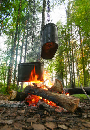two kettles on fire on glade in woodの写真素材