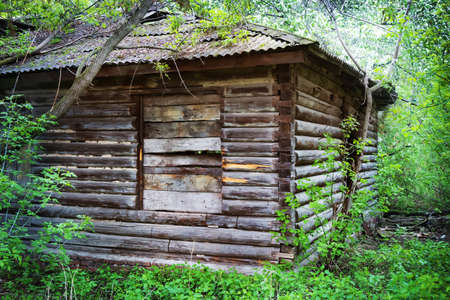 old wooden thrown house in the woodの写真素材