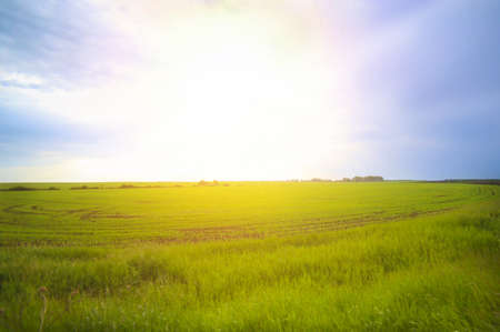 beautiful sunrise over spring fieldの写真素材