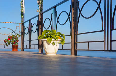 view of sea from balcony of hotel in summerの写真素材