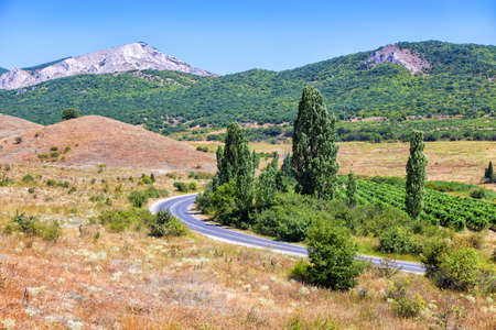 Crimea mountain landscape with vineyardの写真素材