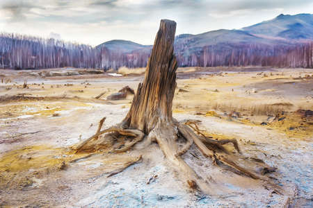 landscape poisoned with toxic waste of productionの写真素材