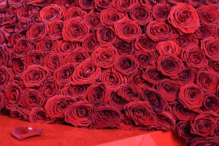 beautiful red roses big bouquetの写真素材