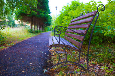 footpath and bench in beautiful old park