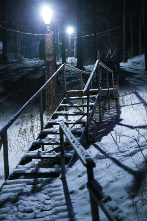 wooden ladder in the winter wood at nightの写真素材
