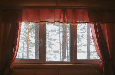 view of the winter pine forest from a house windowの写真素材