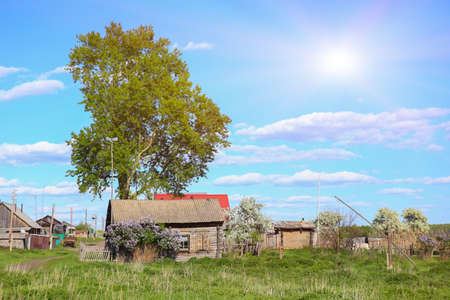wooden house with garden in the Russian villageの写真素材