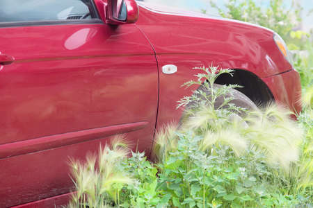 red car in the summer in high green grassの写真素材