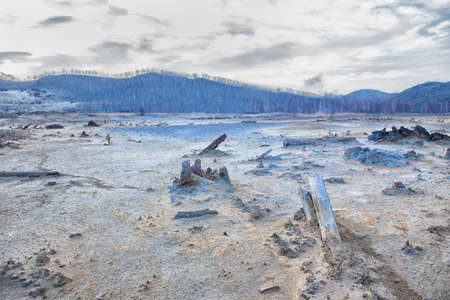 ecological disaster in desert died-out vegetationの写真素材