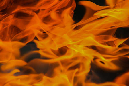 birch firewood brightly burning in fire