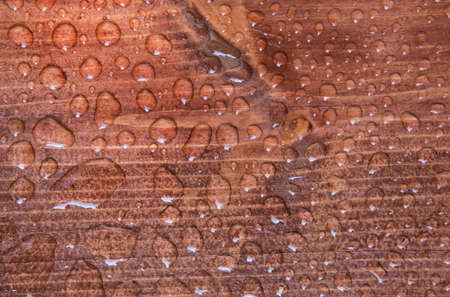 water drops on wooden board closeupの写真素材
