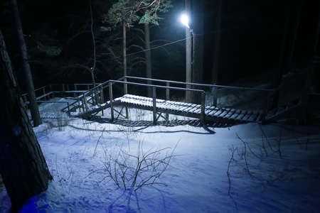 wooden ladder in the winter wood at nightの写真素材