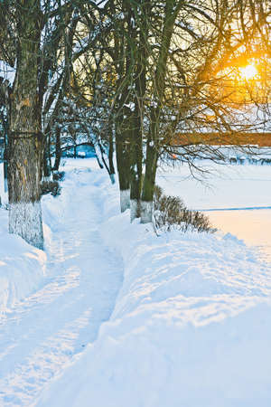 path in the deep snow to the village house in the winterの写真素材
