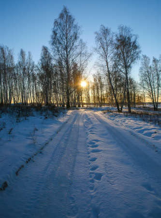 beautiful sunset in the winter forestの写真素材