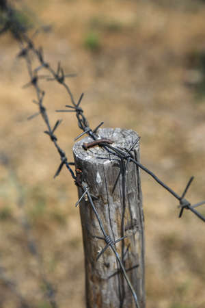 barbed wire on an old wooden postの写真素材