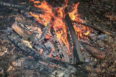 burning wood campfire on the groundの写真素材