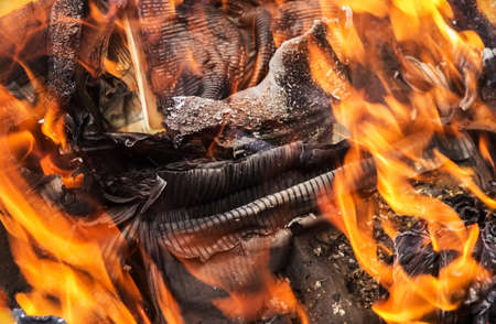 Paper burning in the fire close-upの写真素材