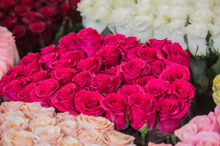 Large bouquets of roses in different colorsの写真素材