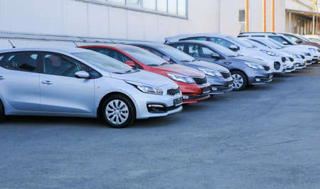 Cars For Sale Stock Lot Row. Car Dealer Inventoryの写真素材