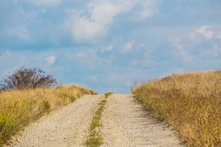 A beautiful autumn landscape with a field, a sky and a dirt road leaving to the horizonの写真素材