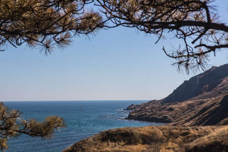 Mountainous seashore on a bright sunny day with a pine in the foreground.の写真素材
