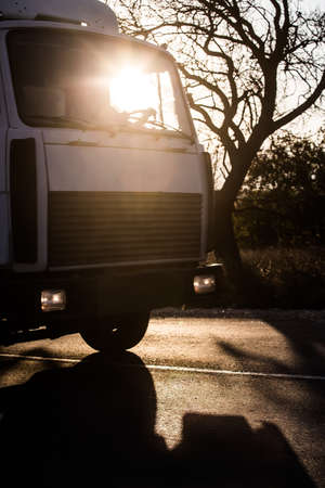 Trusk drives along a country road with a crooked bare tree in the background.の写真素材