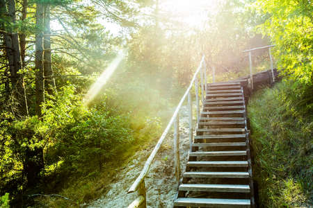wooden staircase with railing in the national Park