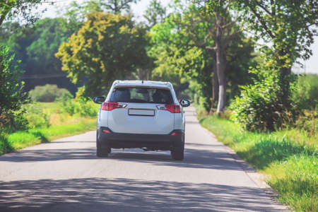 car moves on a summer day on the road in oak alleyの写真素材