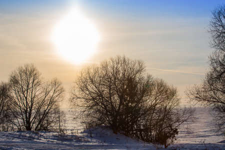 sunset through the tree branches over the winter ice surface of the lake