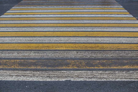 Marking the zebra on an asphalted pedestrian crossingの写真素材
