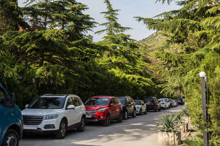 Cars in the parking lot along the street in the shade of trees
