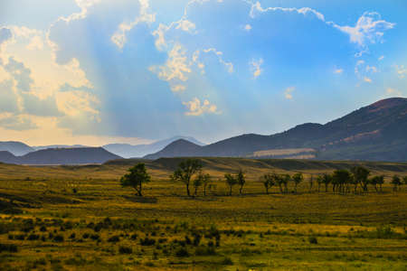Landscape with valley, trees and mountains in summer