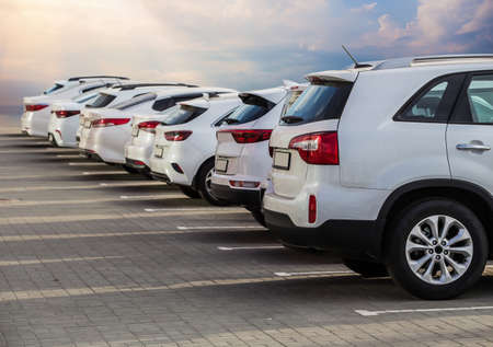 Cars For Sale Stock Lot Row. Car Dealer Inventoryの写真素材