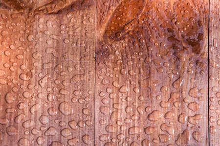 Water Drops on Wooden Board closeupの写真素材