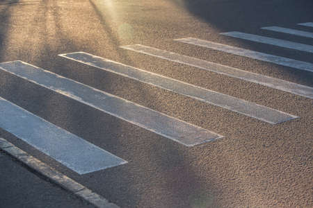 Zebra on the asphalt of a pedestrian crossing lit by the sun