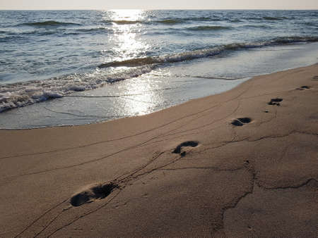 Footprints of a man walking along the sand at the water's edge on the sea beach