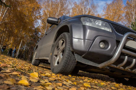 SUV in the autumn yellow forest. Close-up, detaiの写真素材