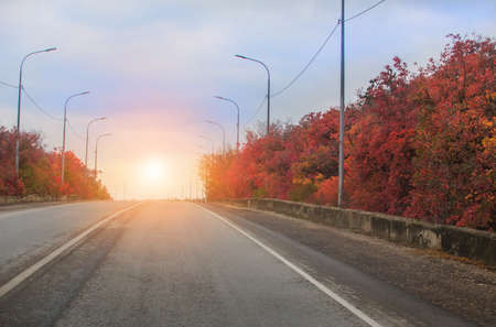 Autumn Highway with bright red leaves on trees along the roadsideの写真素材