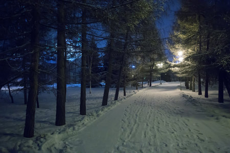 snow-covered sidewalk at night in the winter square