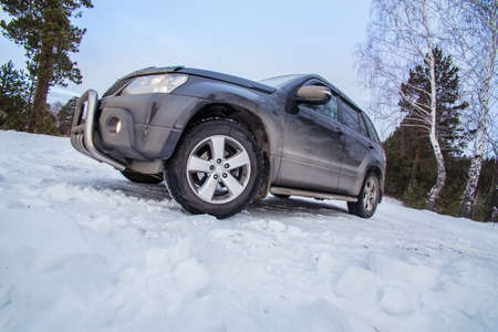 SUV in a winter forest on a snowy glade