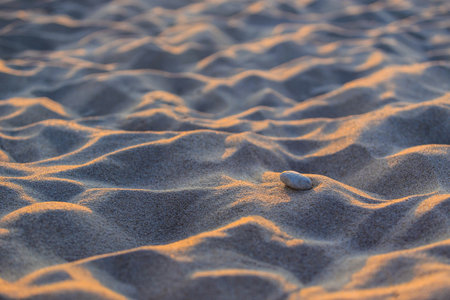Sandy beach near the sea at sunset close-up background
